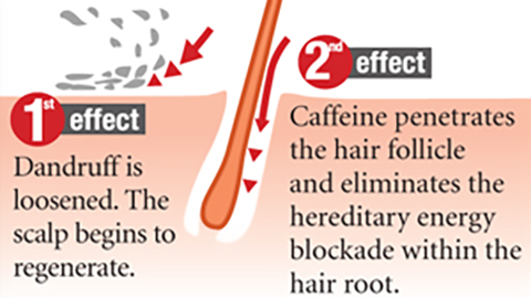 Illustration Wirkung Alpecin Doppel Effekt Coffein-Shampoo